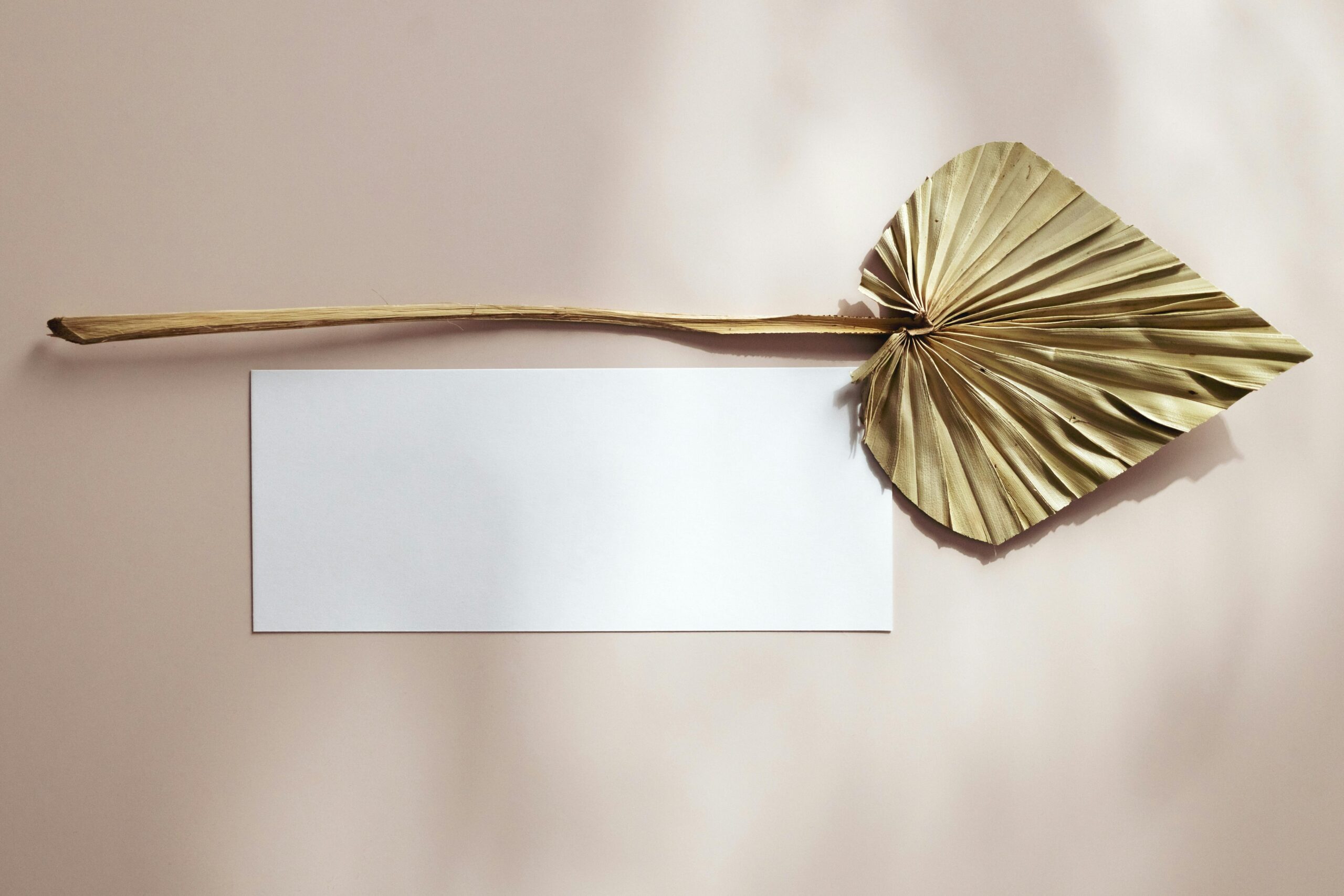 Titelbild Workshops für Paare, Frauengesundheit und Yoga